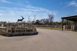 Tbd Blackbuck Ridge Dr Lot 181, Lampasas, TX 76550 - Photo 3