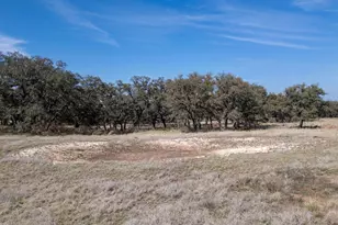 Tbd Blackbuck Ridge Dr Lot 181, Lampasas, TX 76550 - Photo 15