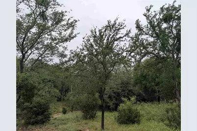 1106 Monterrey Oak Circle, Marble Falls, TX 78654 - Photo 3