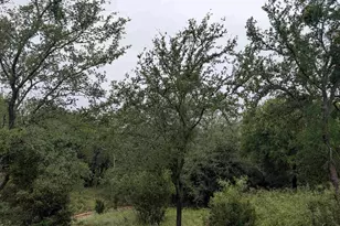 1106 Monterrey Oak Cir, Marble Falls, TX 78654 - Photo 3