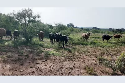122 Pr 2562, Santa Anna, TX 76878 - Photo 7