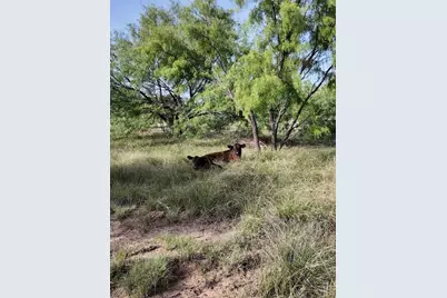 122 Pr 2562, Santa Anna, TX 76878 - Photo 13