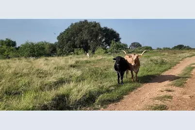 122 Pr 2562, Santa Anna, TX 76878 - Photo 11