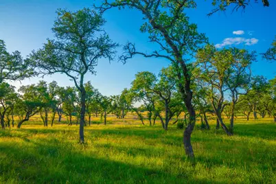 0 Bountiful Oaks, Johnson City, TX 78636 - Photo 3
