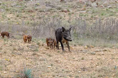 630 Cr 531, Mullin, TX 78684 - Photo 23