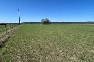 425 Lone Oak Drive, Burnet, TX 78611 - Photo 11