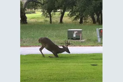 Lot 71 Encantada - Escondido, Horseshoe Bay, TX 78657 - Photo 15