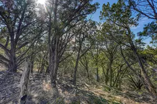 1007 Ed Low Dr, Burnet, TX 78611 - Photo 5