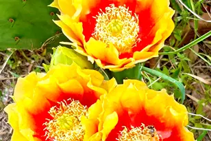 40012B Hi Ridge Rd, Horseshoe Bay, TX 78657 - Photo 13