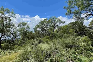 Lots 250 & 251 Valley View Ln, Granite Shoals, TX 78654 - Photo 11