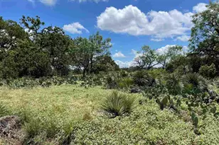 Lots 250 & 251 Valley View Ln, Granite Shoals, TX 78654 - Photo 9