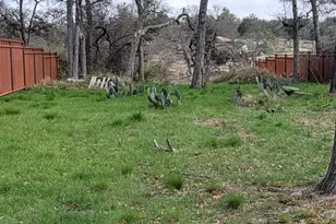 1110 Sherwood Forest Dr, Granite Shoals, TX 78654 - Photo 3