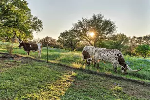 310 The Hills Rd, Horseshoe Bay, TX 78657 - Photo 25