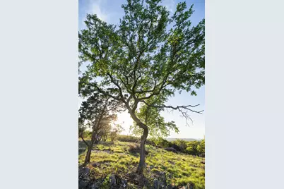 1188 Crown Lane, Burnet, TX 78611 - Photo 19