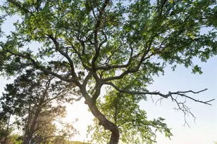 1188 Crown Ln, Burnet, TX 78611 - Photo 19