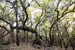 1188 Crown Ln, Burnet, TX 78611 - Photo 7