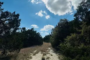 Cr 334 & Cr 336, Bertram, TX 78605 - Photo 3