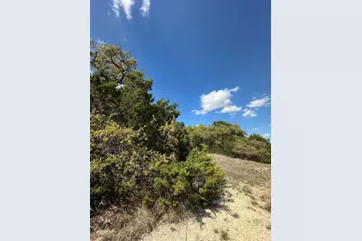 Cr 334 & Cr 336, Bertram, TX 78605 - Photo 9
