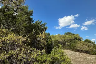 Cr 334 & Cr 336, Bertram, TX 78605 - Photo 9