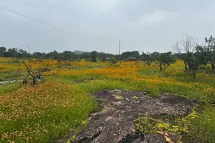 125 W Granite Oaks Dr, Burnet, TX 78611 - Photo 21