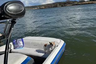 157 E White Rock St, Buchanan Dam, TX 78609 - Photo 15