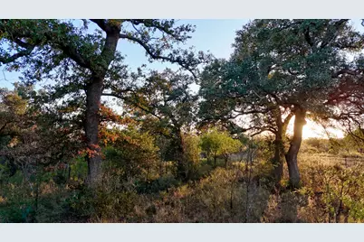 6540 Cr 409, Valley Spring, TX 76885 - Photo 11