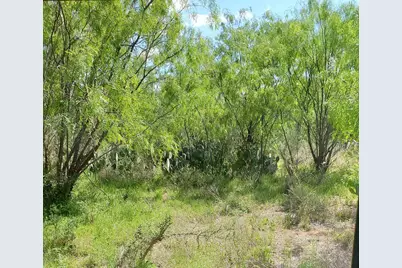 Lot 303 Driftwood Drive, Granite Shoals, TX 78654 - Photo 1