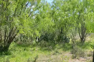 Lot 303 Driftwood Dr, Granite Shoals, TX 78654 - Photo 1