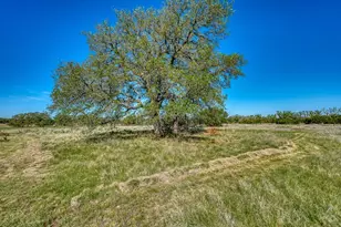 224 Blackbuck Rdg Dr, Lampasas, TX 76550 - Photo 29