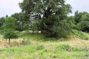 505 E Fm 501, Cherokee, TX 76832 - Photo 5
