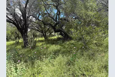 113 Lost Nugget, Horseshoe Bay, TX 78657 - Photo 9