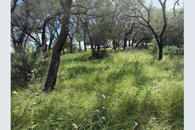 117 Lost Nugget, Horseshoe Bay, TX 78657 - Photo 3