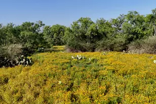 204 Lagitos Ln, Llano, TX 78643 - Photo 29