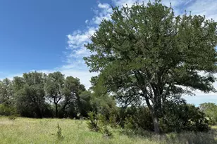 Unk County Road 330, Bertram, TX 78605 - Photo 1