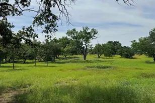 401 Lillian Dean, Buchanan Dam, TX 78609 - Photo 25