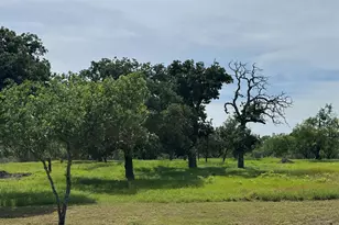 401 Lillian Dean, Buchanan Dam, TX 78609 - Photo 19