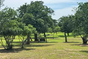401 Lillian Dean, Buchanan Dam, TX 78609 - Photo 29