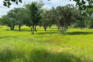 401 Lillian Dean, Buchanan Dam, TX 78609 - Photo 21