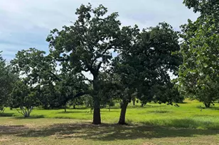 401 Lillian Dean, Buchanan Dam, TX 78609 - Photo 29
