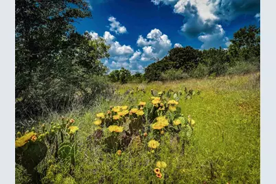 193 County Road 116, Llano, TX 78643 - Photo 29