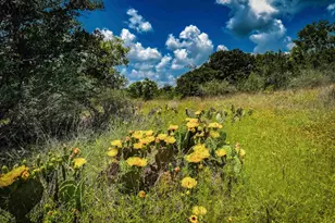 193 Co Rd 116, Llano, TX 78643 - Photo 29