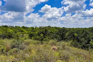 193 Co Rd 116, Llano, TX 78643 - Photo 31
