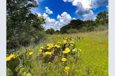 193 County Road 116, Llano, TX 78643 - Photo 27