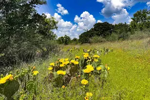 193 Co Rd 116, Llano, TX 78643 - Photo 27