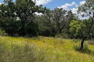 193 Co Rd 116, Llano, TX 78643 - Photo 29