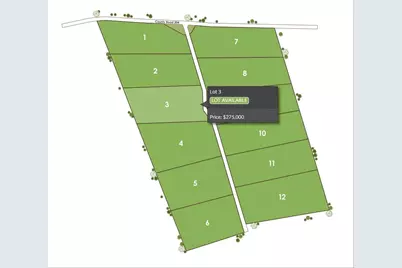 Tract 3 County 204 Road, Burnet, TX 78611 - Photo 3