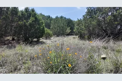 815 Fm 2315, Rochelle, TX 76872 - Photo 25
