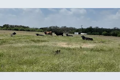 815 Fm 2315, Rochelle, TX 76872 - Photo 17
