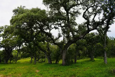 10430 Ranch Road 2341, Burnet, TX 78611 - Photo 9