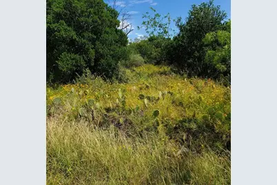 Lots 739 & 740 Norwood Drive, Granite Shoals, TX 78654 - Photo 3